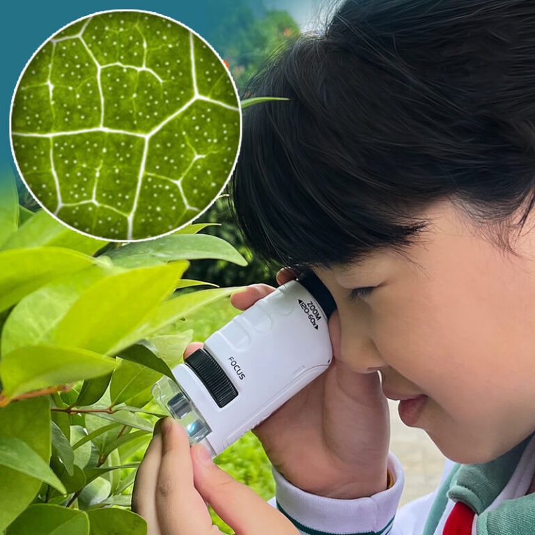 Инновационный портативный мини-микроскоп для детей со светодиодной подсветкой. Užsisakykite Trendai.lt 14