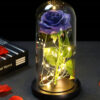 Светящаяся роза в стеклянной декоративной лампе Užsisakykite Trendai.lt 56