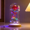 Светящаяся роза в стеклянной декоративной лампе Užsisakykite Trendai.lt 51